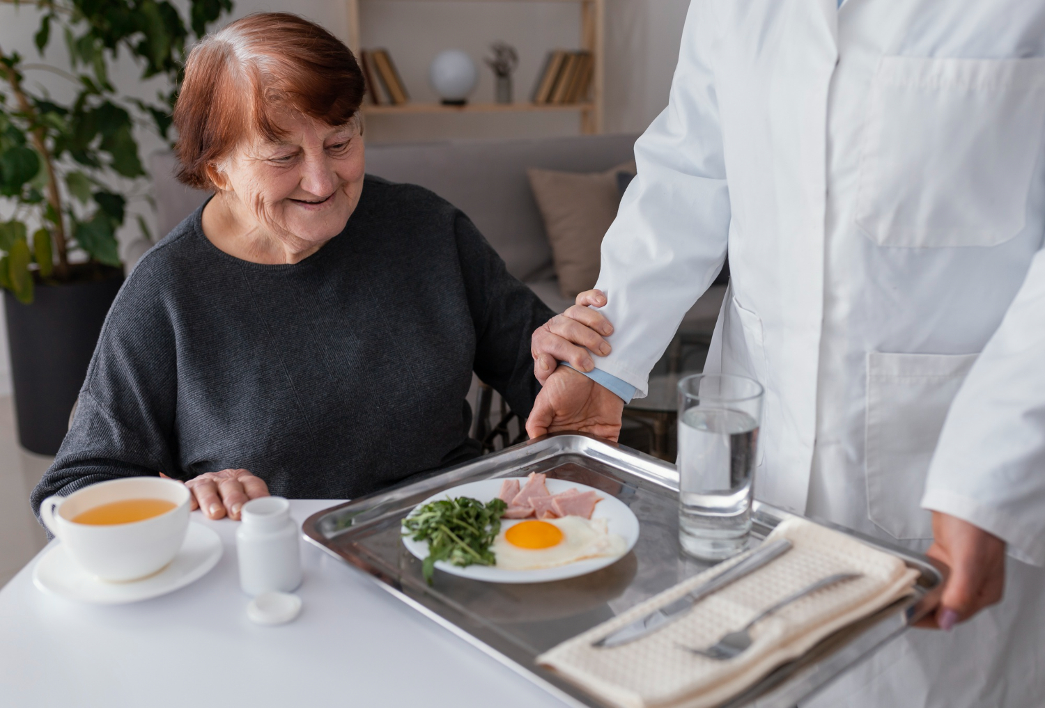 Alimentação para Idosos com Alzheimer: Guia para Cuidados Nutricionais Especializados